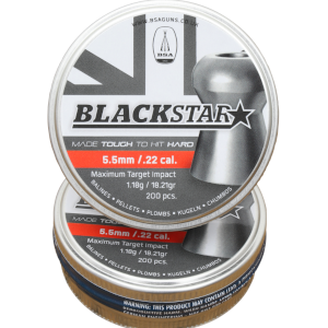 BSA Black Star 300
