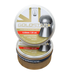 BSA Gold Star 300